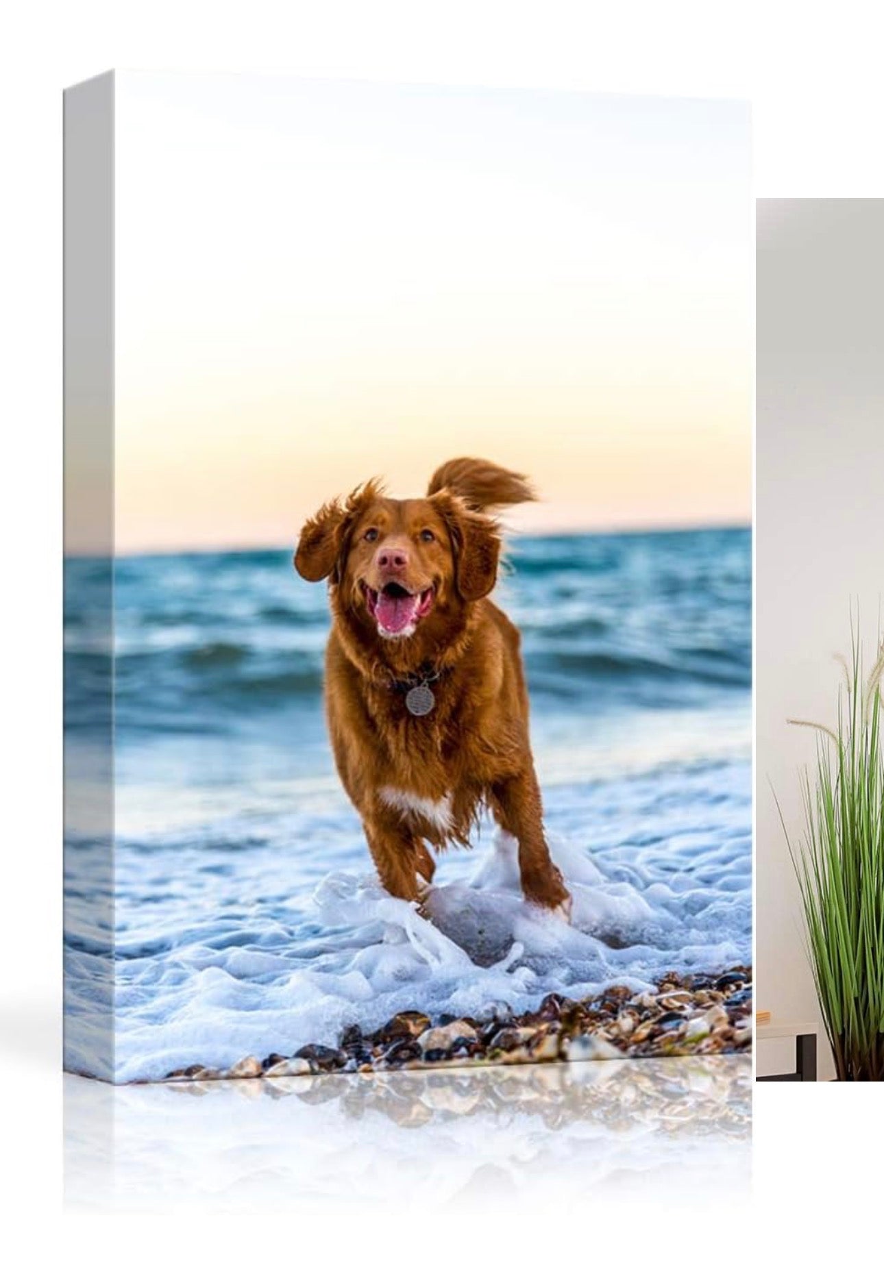 CANVAS PRINTS
