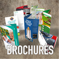 BROCHURE(500)